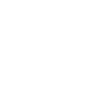 API INU