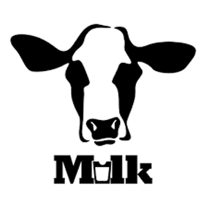Direxion Daily MU Bull 2X ETF (Derivatives)